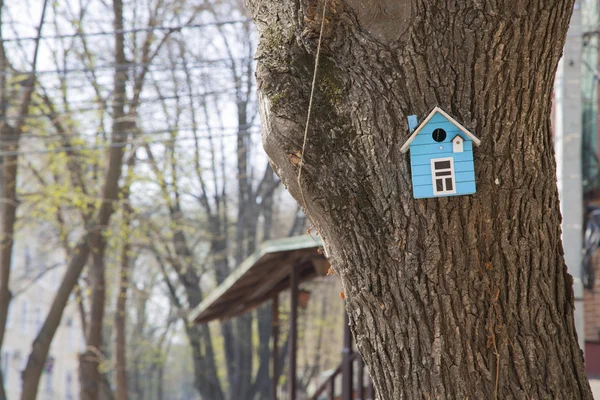 Birdhouse au tronc de l'arbre — Photo