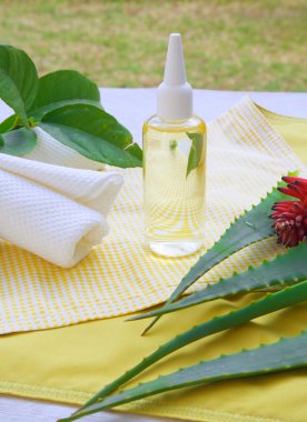 Aloe vera saç yağı