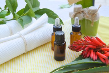 Aloe vera temel petrol