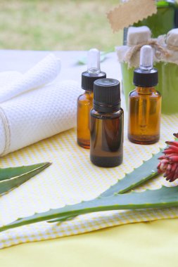 Aloe vera temel petrol