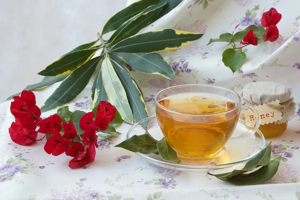 Herbal tea with bay leaf and honey — Stock Photo, Image