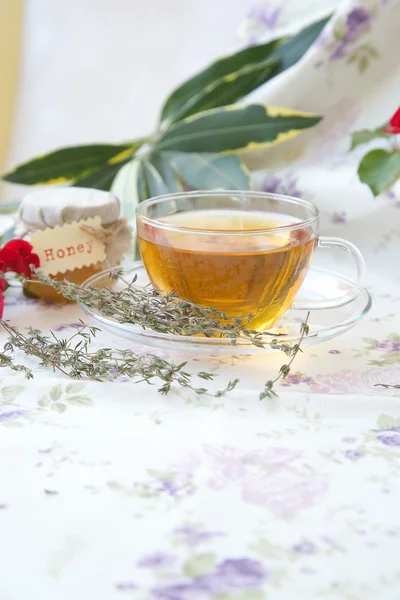 Thyme herbal tea — Stock Photo, Image