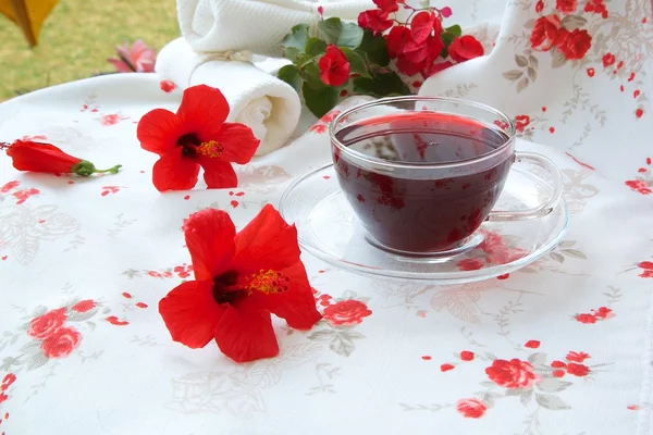 Hibiscus tea — Stock Photo, Image
