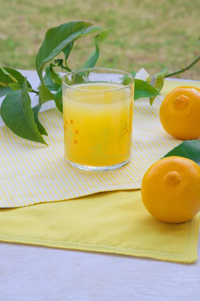 新鲜的香柠檬果汁 — 图库照片