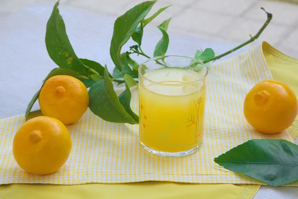 Frischer Bergamottensaft — Stockfoto