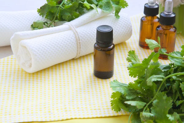 Coriander essential oil — Stock Photo, Image