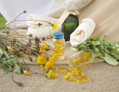 Karahindiba petrol softgels