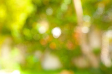 Yaz arka plan. Odak dışında