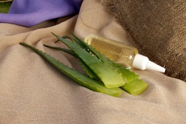 Aloe vera saç yağı