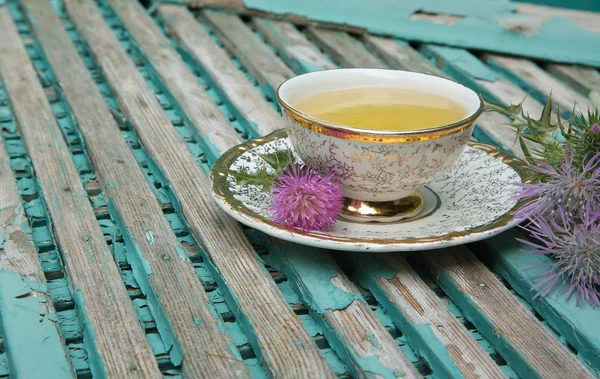 Mléka thistle tea — Stock fotografie