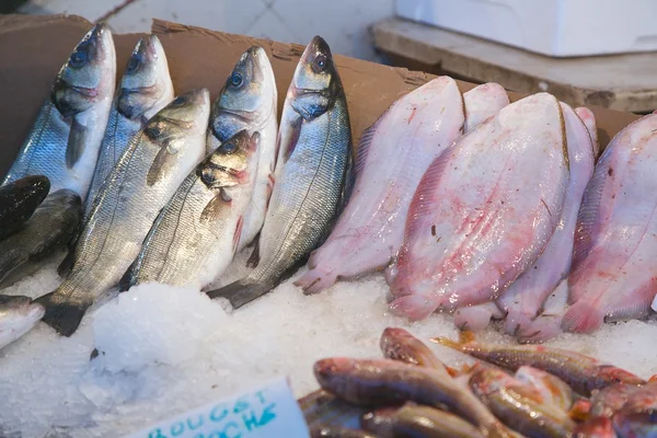 Pescado fresco en el mercado de pescado — Foto de Stock