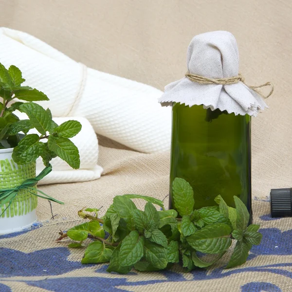 Peppermint oil — Stock Photo, Image