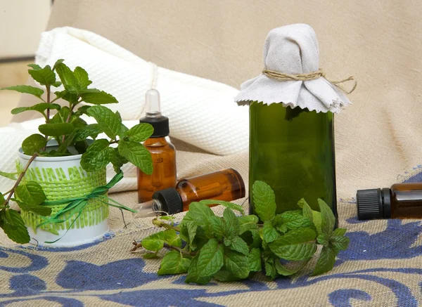 Peppermint oil — Stock Photo, Image