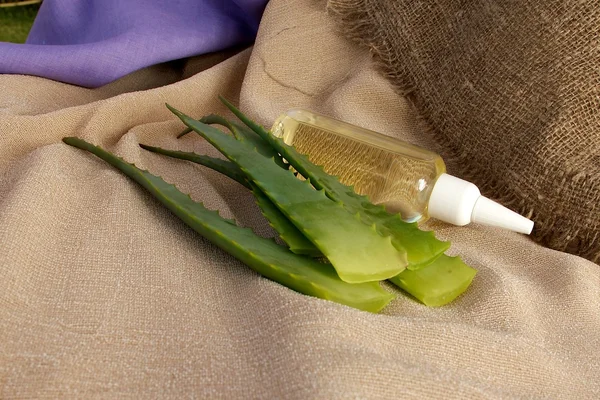 Olej do włosów Aloe vera — Zdjęcie stockowe