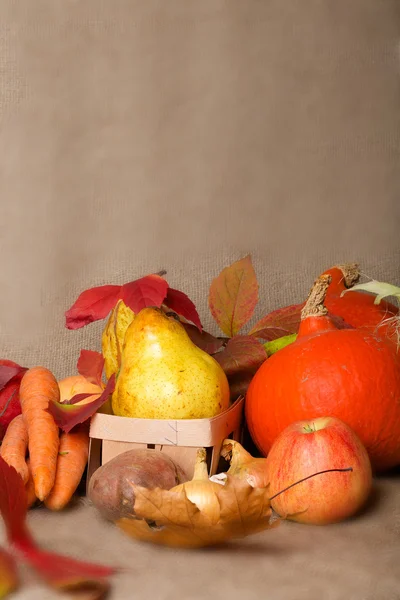 Giorno del Ringraziamento sfondo — Foto Stock