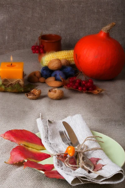 Pranzo del Ringraziamento — Foto Stock