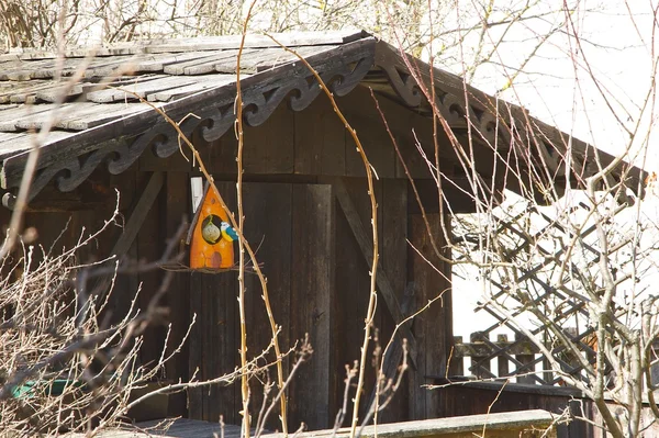 Houten gemaakte vogels huis — Stockfoto