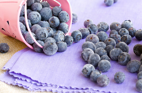 Черника в розовом ведре
