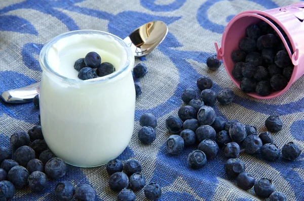 Yogur natural con arándanos —  Fotos de Stock