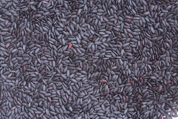 Wild rice grains. — Stock Photo, Image