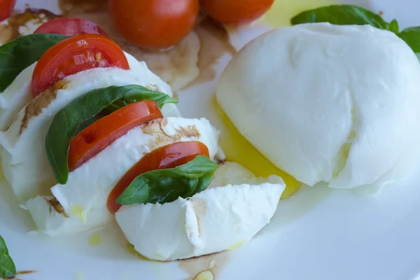 Mozzarella de búfalo com tomates de cereja em um galho — Fotografia de Stock