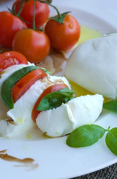 Mozzarella de búfalo com tomates de cereja em um galho — Fotografia de Stock