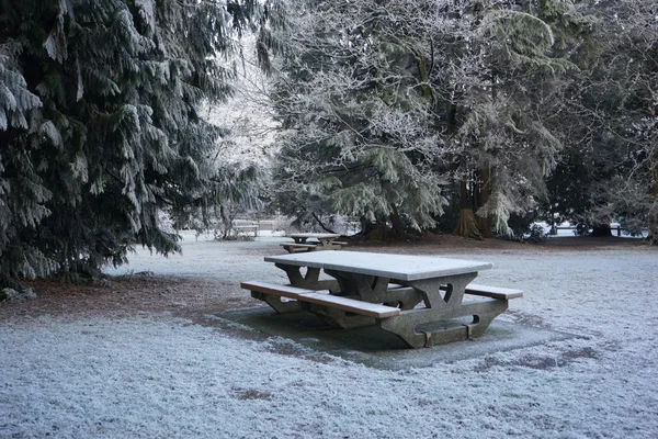 Parco invernale al mattino — Foto Stock