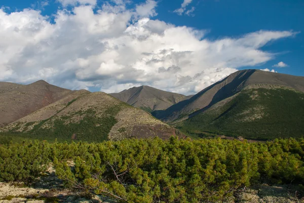 Mattina soleggiata in montagna — Foto Stock