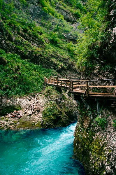 Desfiladeiro de Vintgar, beleza da natureza, rio de montanha Radovna fluindo através dele, perto de Bled, Eslovênia — Fotografia de Stock