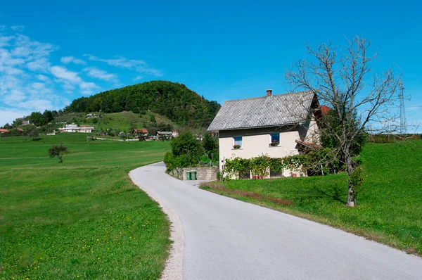 Casa vicino strada che scende dalla collina attraverso il campo. Cielo blu ed erba verde. Slovenia villaggio. — Foto Stock