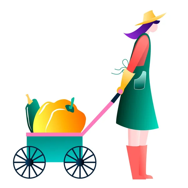 stock vector Woman gardener in green apron carry wheelbarrow with pumpkin vegetables. Season harvest picking.