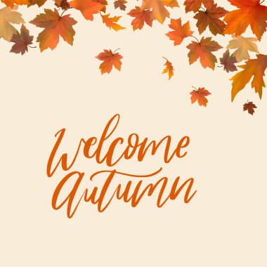 Sonbahar yapraklarını karşıla