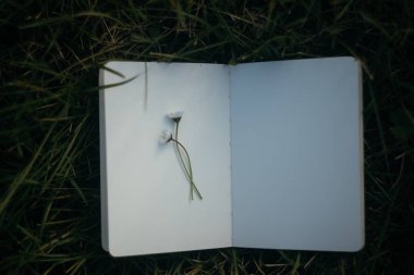 Masanın üzerinde papatya çiçeği olan boş bir kitap.