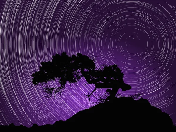 Silhouette di albero contro cielo notturno con aurora e sentieri stellari intorno alla stella Polaris. Illustrazione vettoriale . — Vettoriale Stock