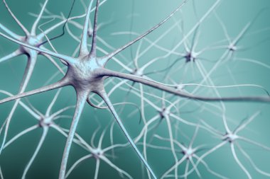 Beyin, sinir ağı 3d çizimi nöronlarda.