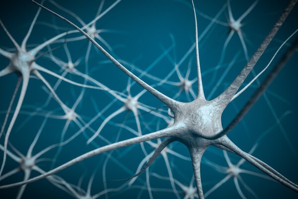 Neurons in brain, 3D illustration of neural network.