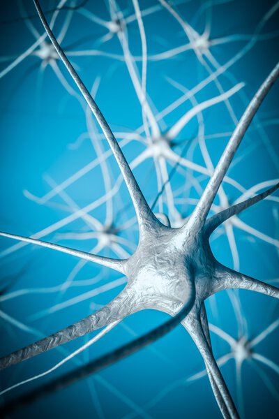Neurons in brain, 3D illustration of neural network.