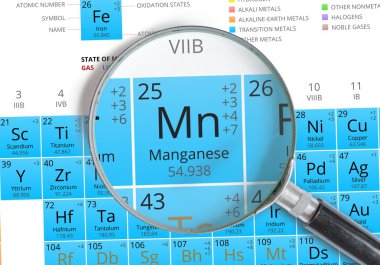 Manganese symbol - Mn. Element of the periodic table zoomed with magnifying glass clipart