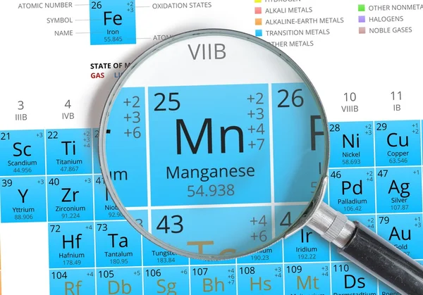 Марганцевый символ - Mn. Элемент периодической таблицы с увеличительным стеклом — стоковое фото