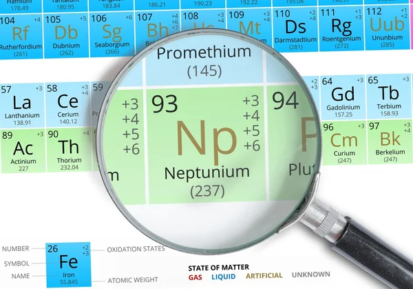Neptunium symbolu - Np. prvek v periodické tabulce zvětšeno zvětšovacím sklem — Stock fotografie