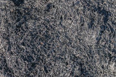 Yanmış kül doku veya arka plan.