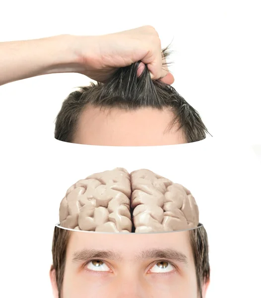 Mano solleva metà di una testa affettata con cervello all'interno — Foto Stock