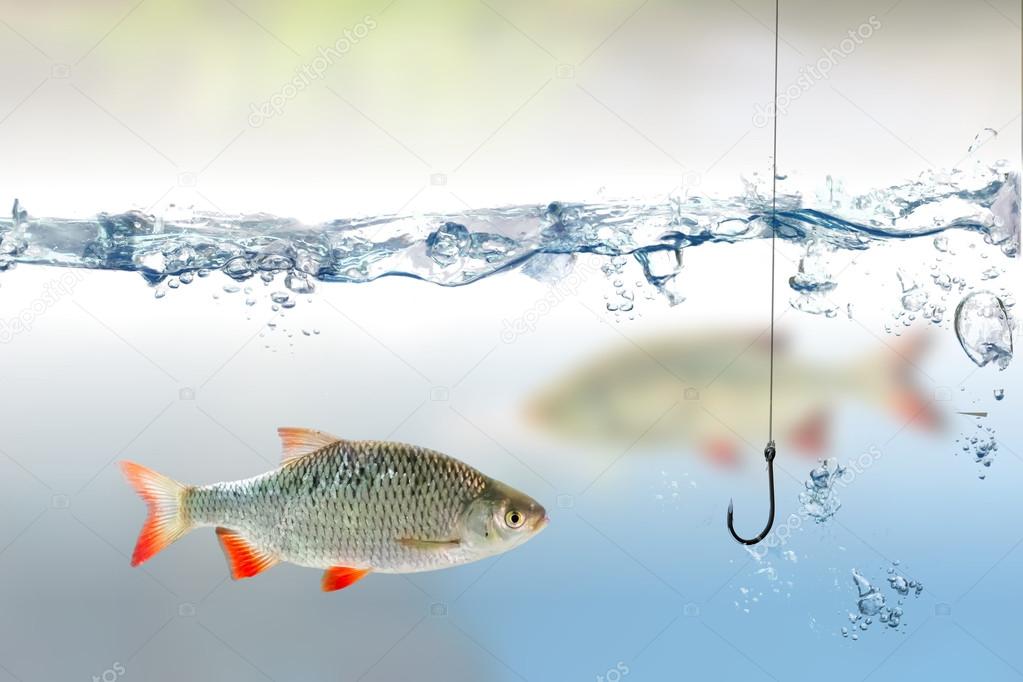 Fishing hook under water and fish rudd