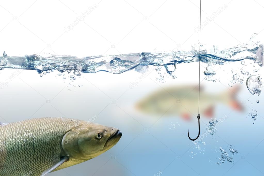 Fishing hook under water and trout fish Stock Photo by ©vchalup2