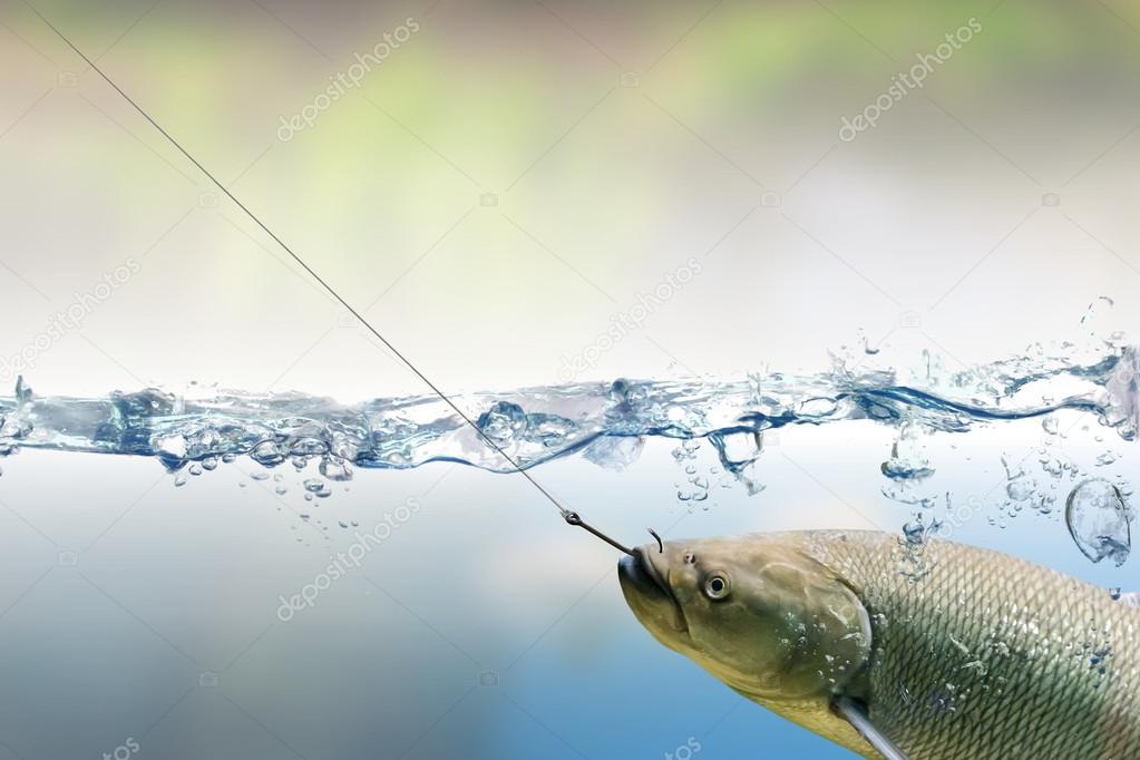 Caught and hooked fish on fishing hook under water — Stock Photo