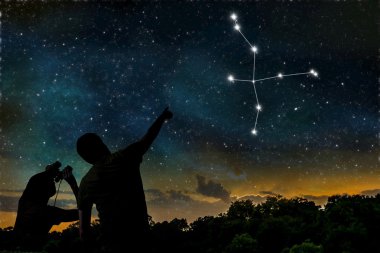 Kuğu ya da Kuğu takımyıldızı üzerinde gece sky. Astroloji kavramı. Si