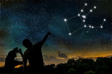 Gece gökyüzü doğum Kanatlıat takımyıldızında. Astroloji kavramı. Silhouett
