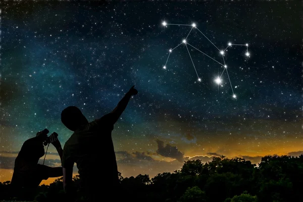 Leo of Leeuw sterrenbeeld van dierenriem op nachtelijke hemel. Astrologie conc — Stockfoto