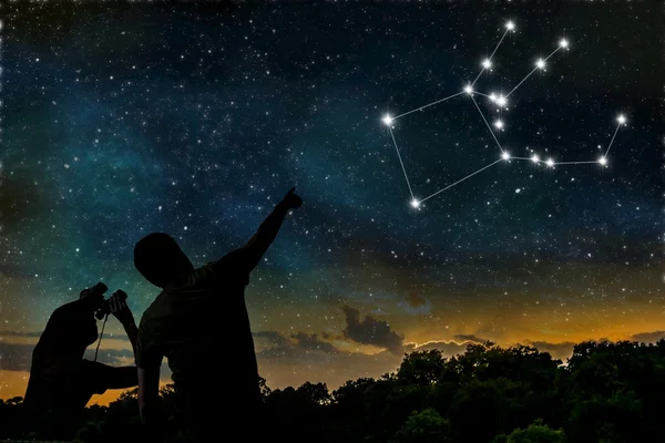 Pegasus sterrenbeeld op nachtelijke hemel. Astrologie concept. Silhouett — Stockfoto