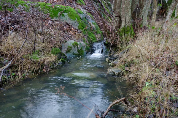 Ein kleiner Wasserfall im Wald — Stockfoto